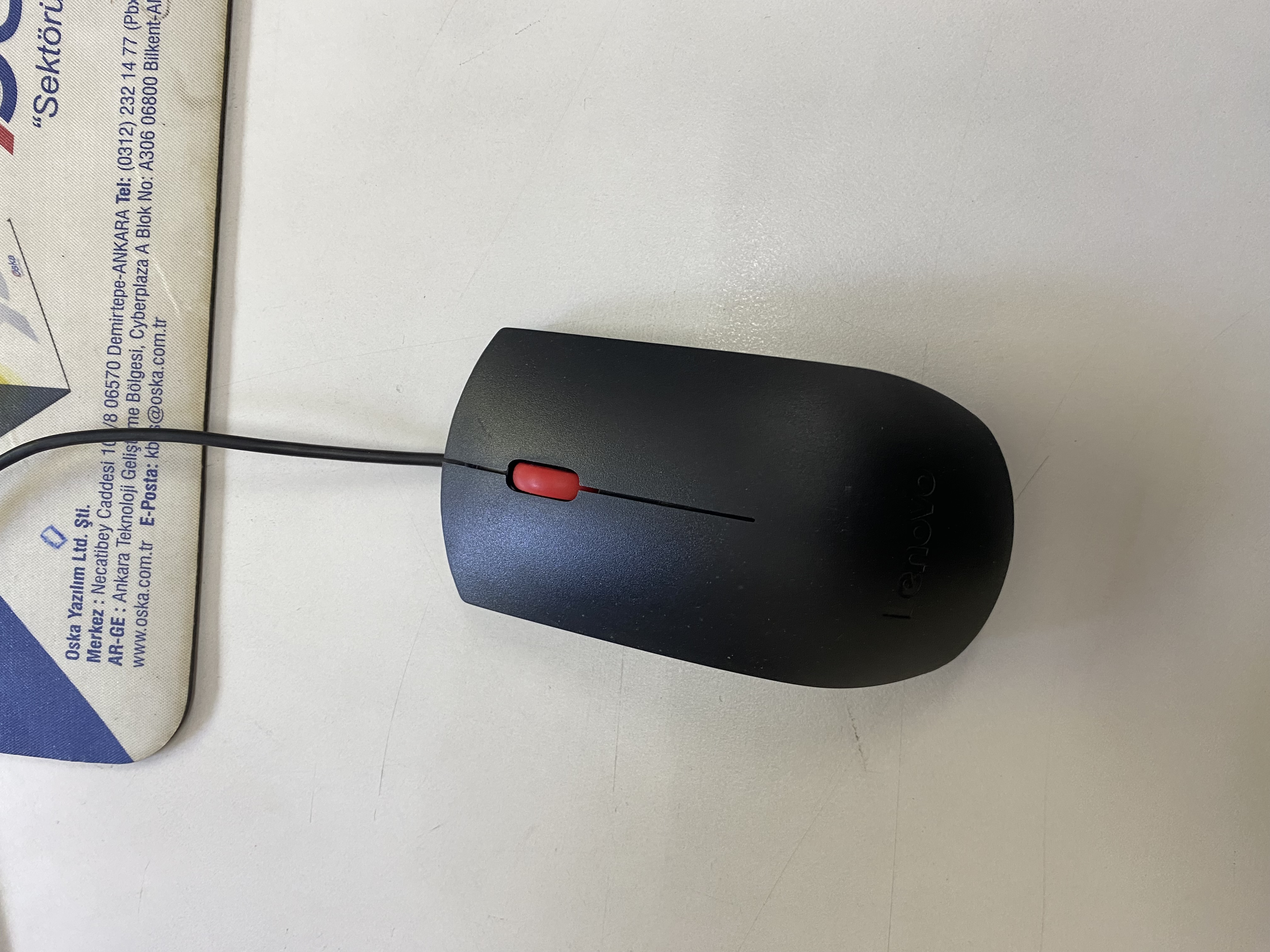 Mouse