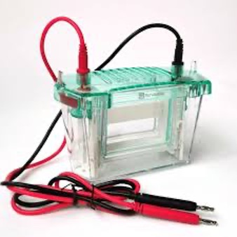 Dikey jel elektroforezi (2 adet)