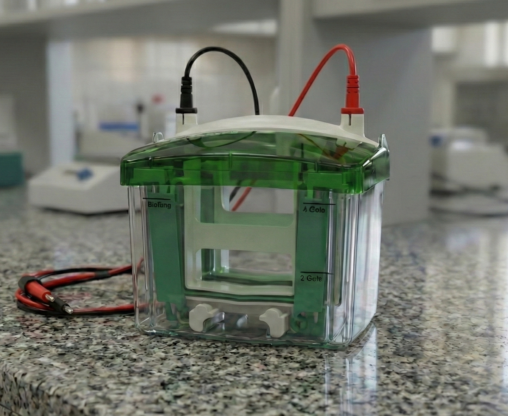ELEKTROFOREZ CİHAZI (DİKEY)