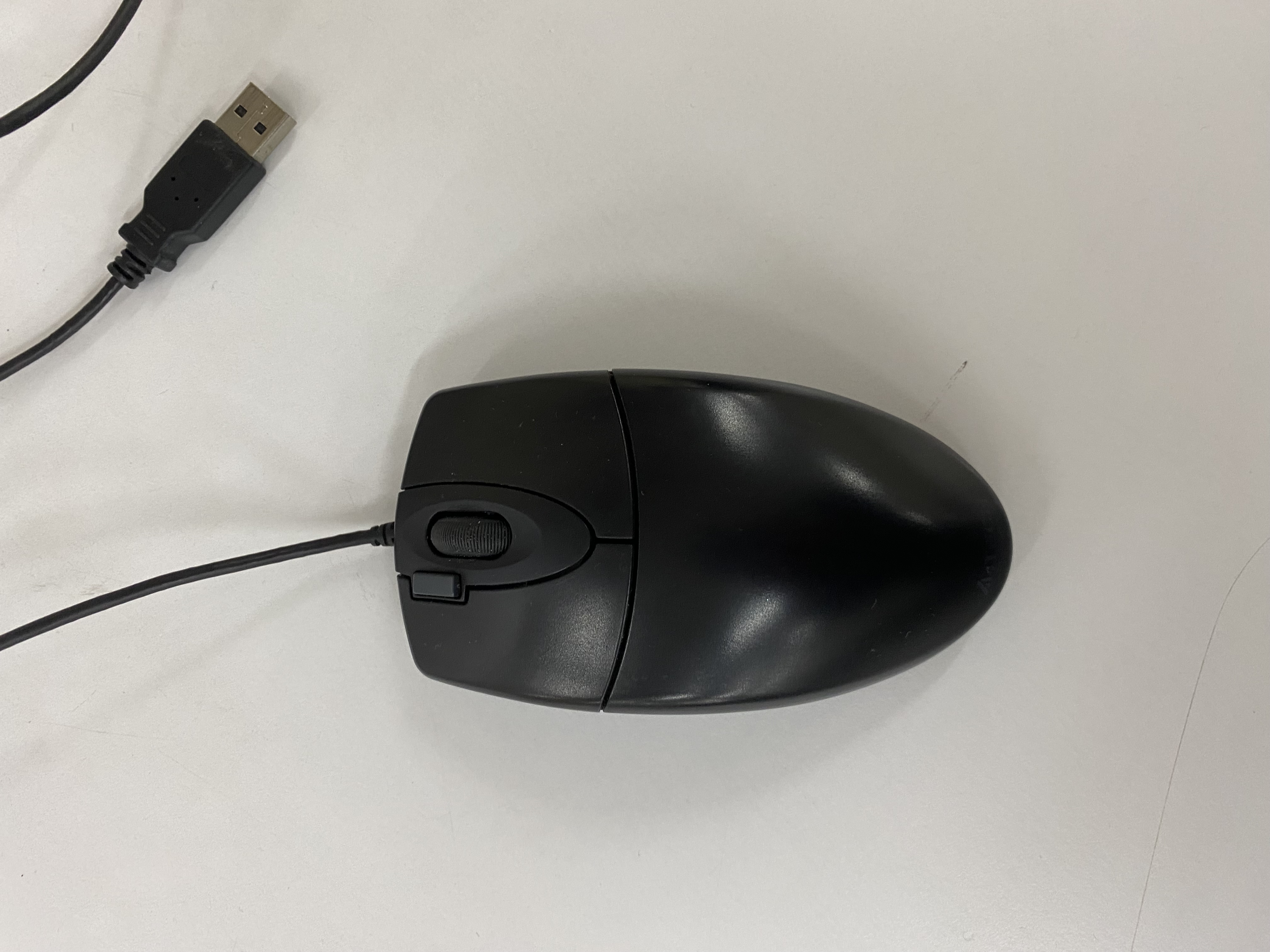 Mouse