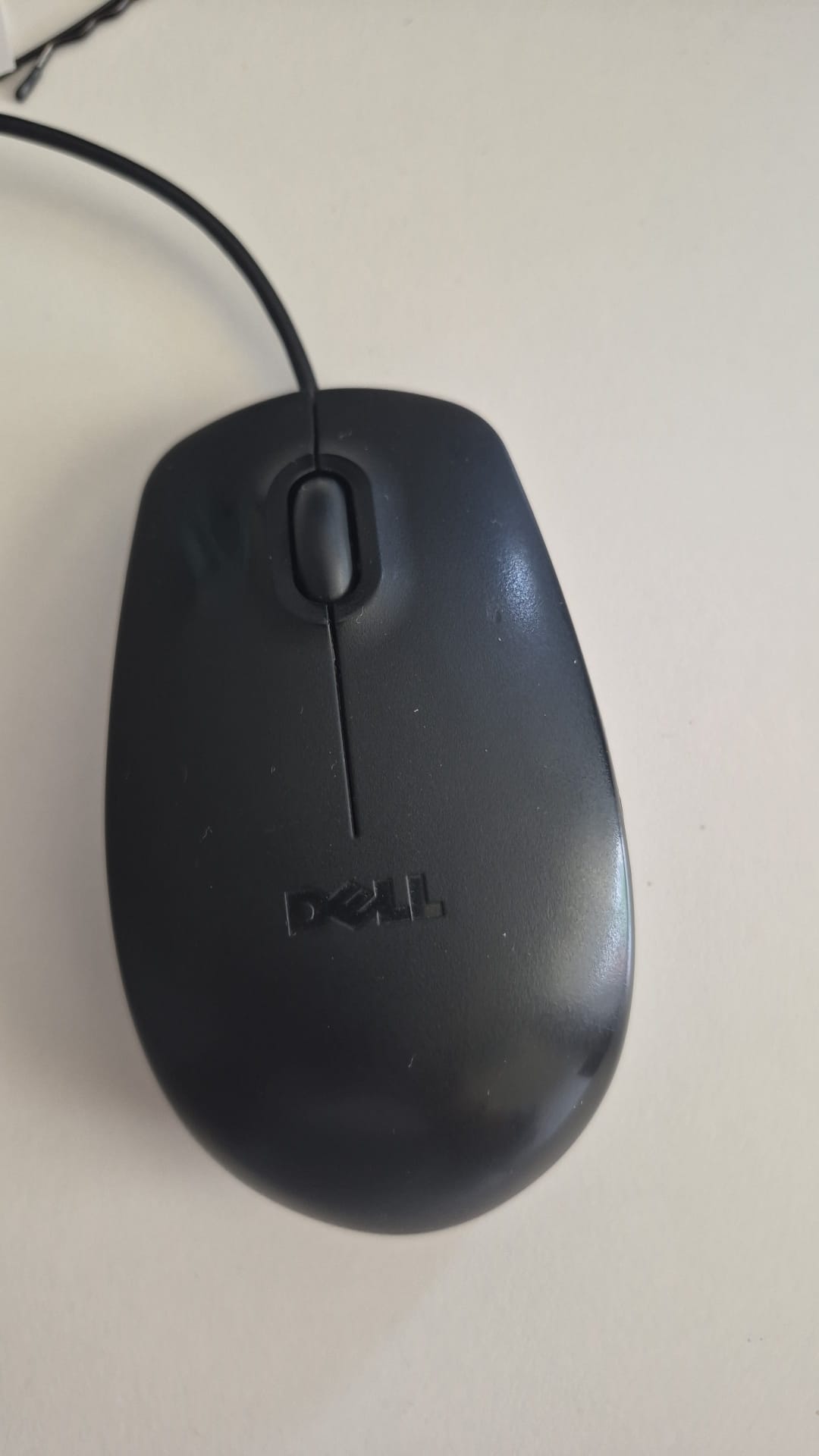 Mouse