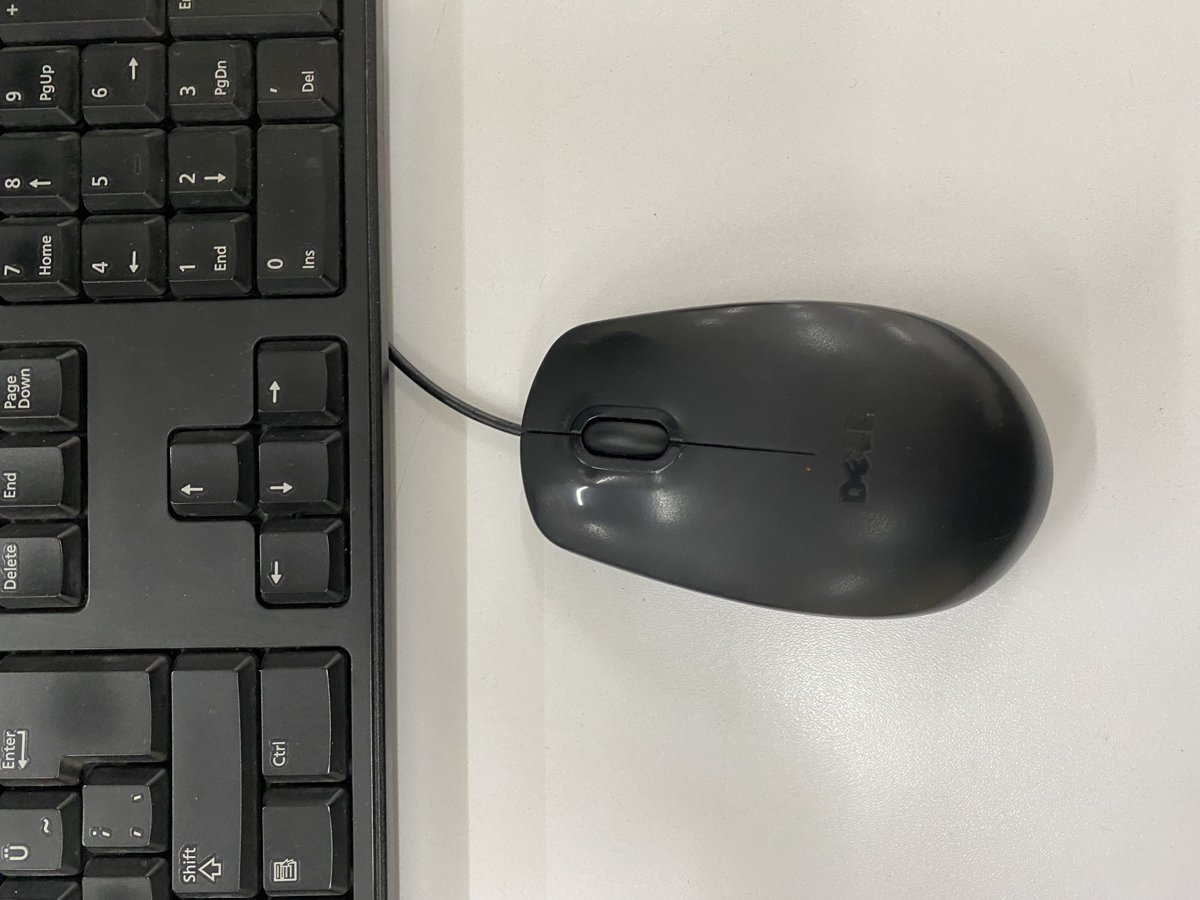 Mouse
