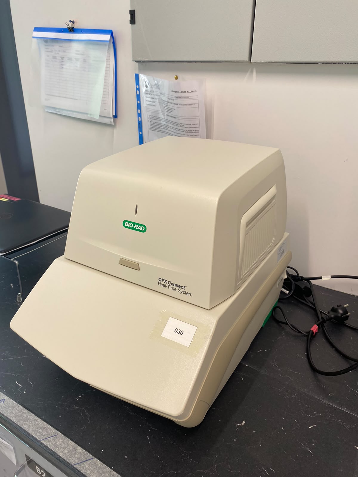 Real Time PCR (qPCR)