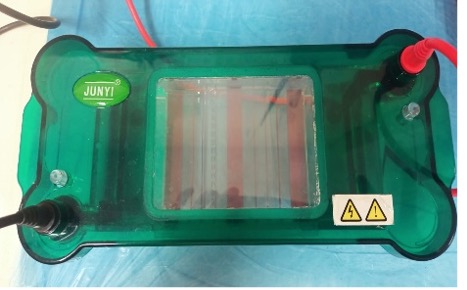 AGAROZ JEL ELEKTROFOREZ ÜNİTESİ