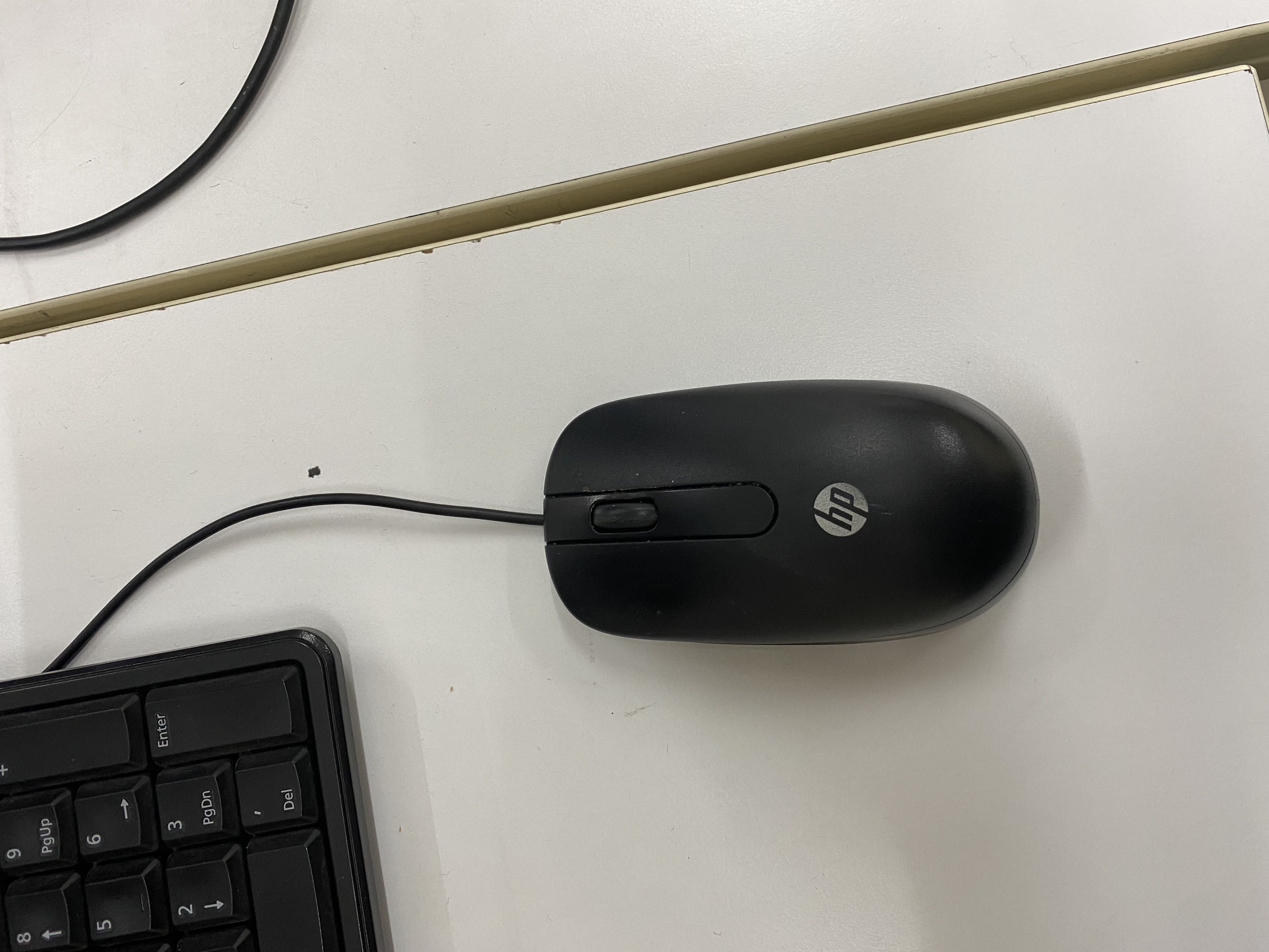 Mouse