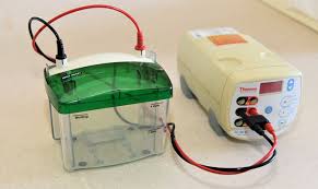 ELEKTROFOZ SİSTEMİ BIO RAD  YATAY