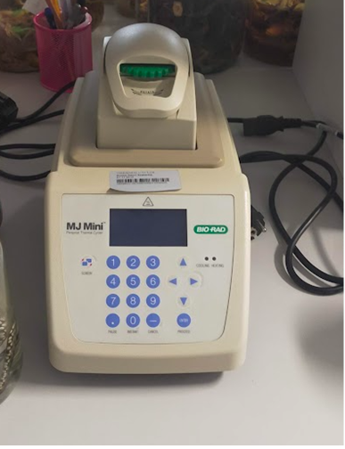 PCR