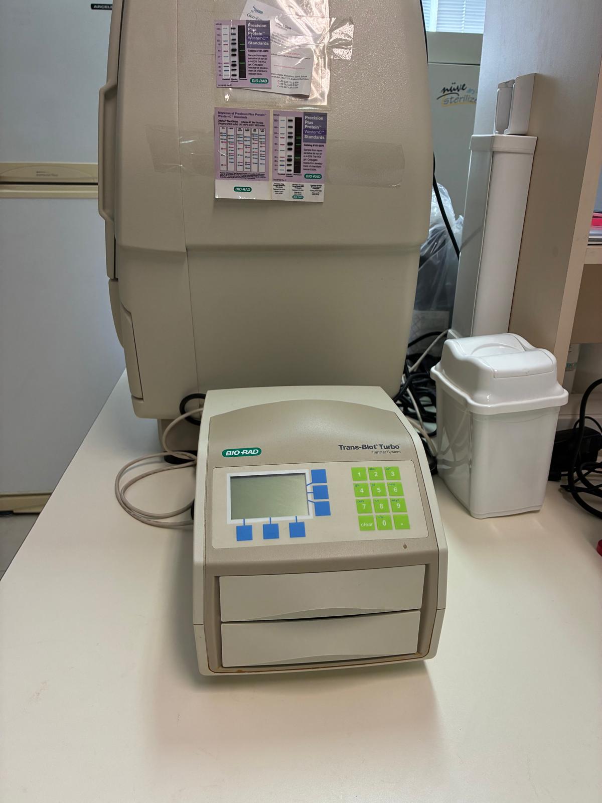 Trans-Blot Turbo Transfer System