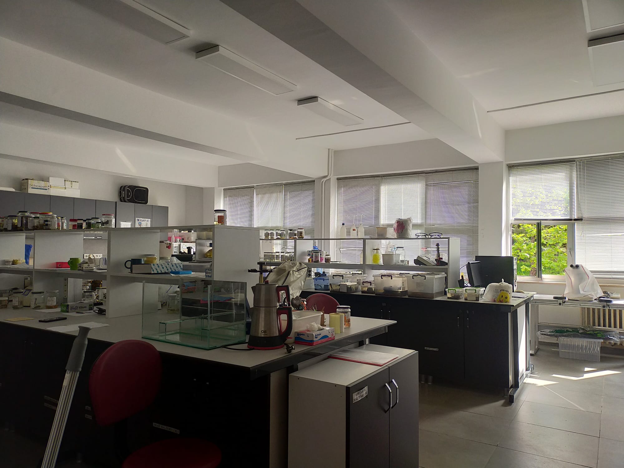 Zooloji Araştırma Laboratuvarı