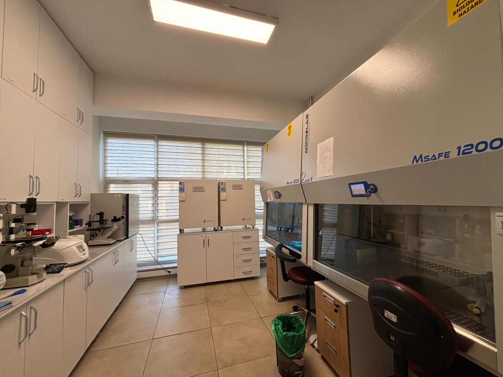 Moleküler Viroloji Laboratuvarı