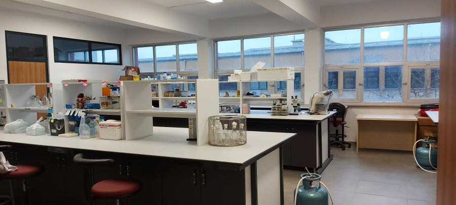 Moleküler Biyoloji ve Genetik Bölümü Laboratuvarı