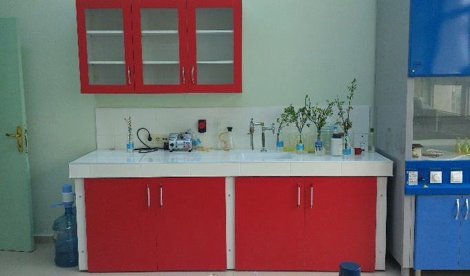Orman Botaniği Anatomi Laboratuvarı