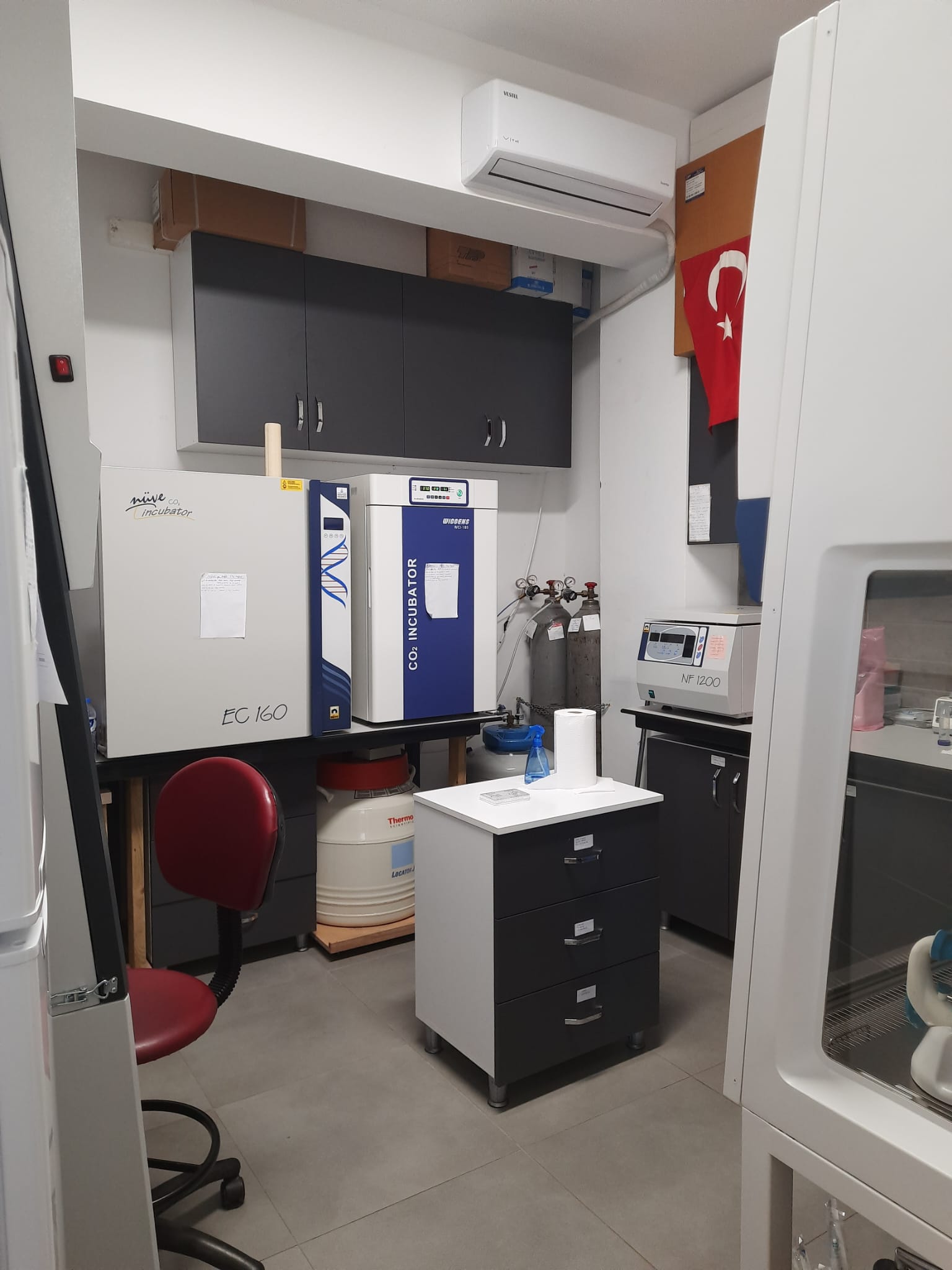 Epigenetik ve Kanser Araştırma Laboratuvarı